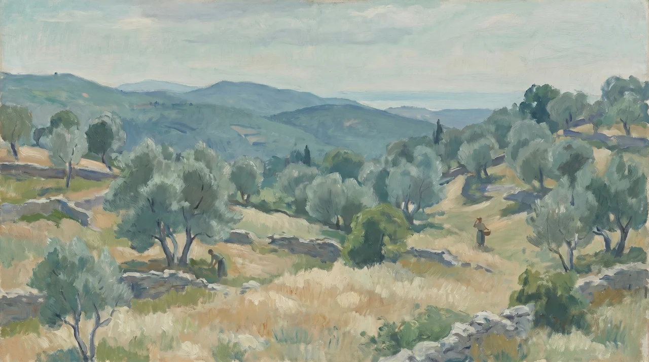 Olive terraces overlooking the North Adriatic coast